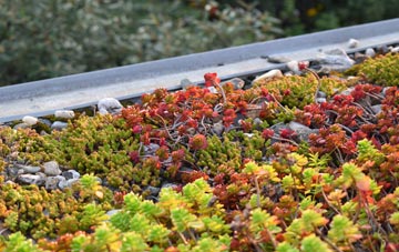 the cost of Auldearn green roof installation