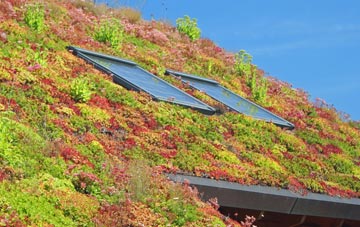Auldearn living roof systems